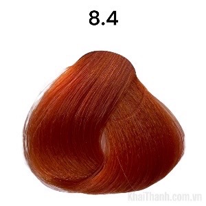 Nhuộm BinGo Care 100ml