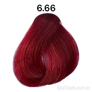 Nhuộm BinGo Care 100ml