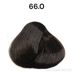 Nhuộm Divasea 100ml