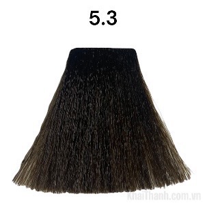 Nhuộm Bolithe 100ml