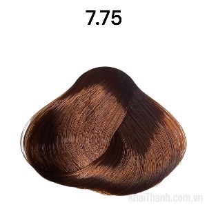 Nhuộm Divasea 100ml