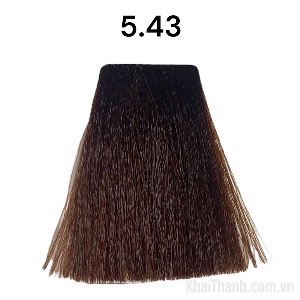 Nhuộm Bolithe 100ml