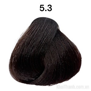 Nhuộm BinGo Care 100ml