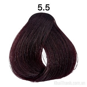 Nhuộm BinGo Care 100ml