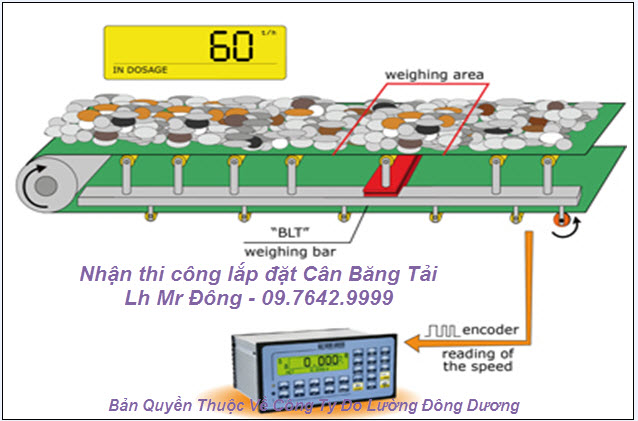 Cân Băng Tải Đông Dương