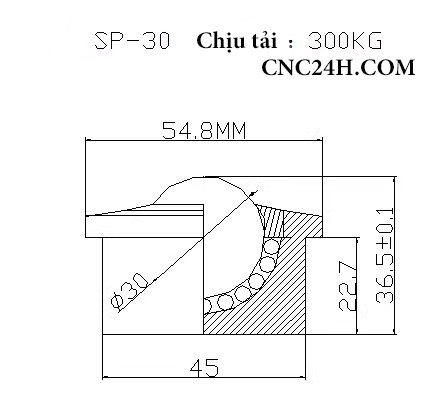 Con lăn bi cầu SP30