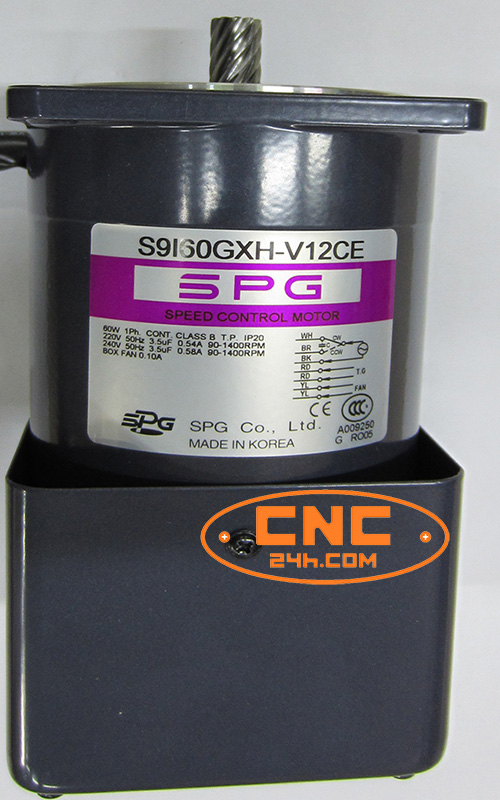 motor dây chuyền