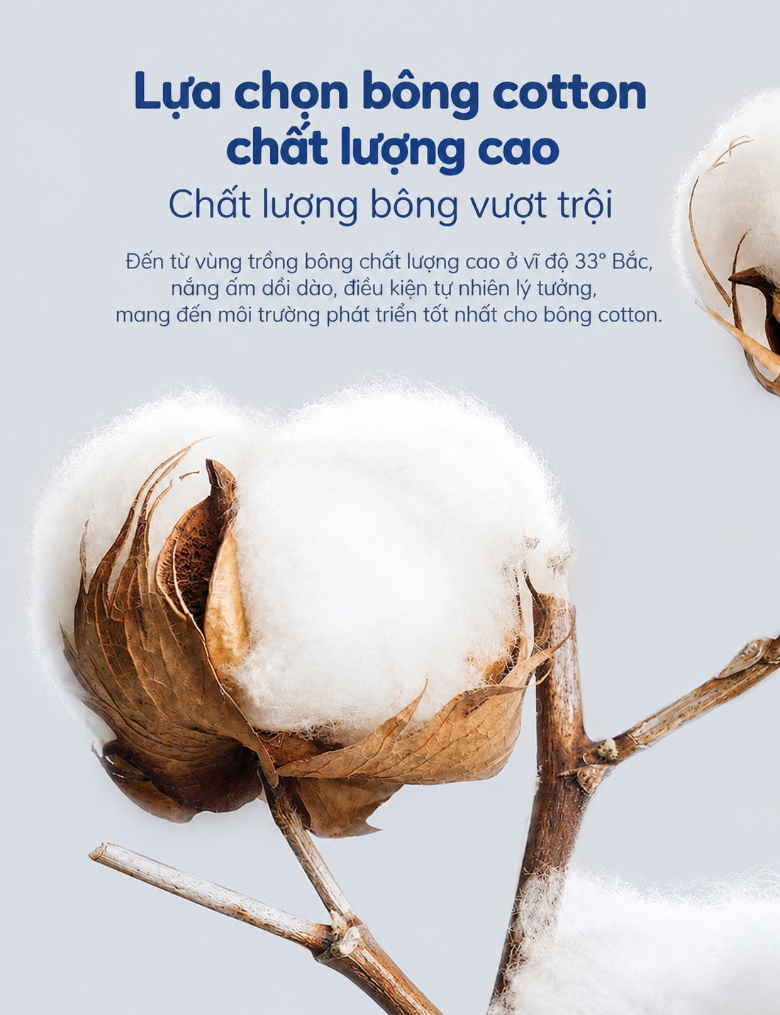 Bông tẩy trang Likado Túi 400 miếng bông hữu cơ kích thước 5 * 6cm