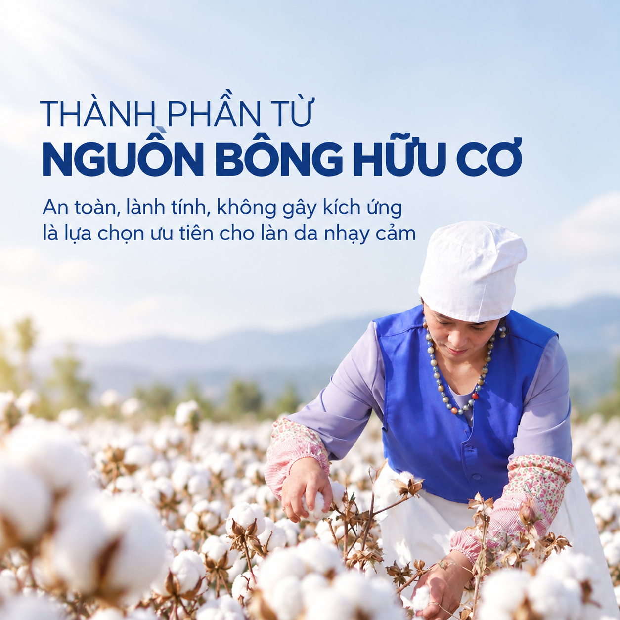Bông tẩy trang Likado miếng tròn 100 miếng (bông cây)