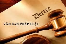 Vai trò, trách nhiệm của Luật sư trong việc góp ý xây dựng, hoàn thiện các văn bản pháp luật