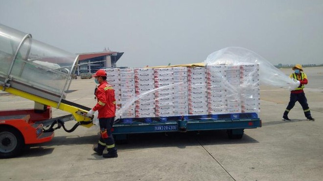 Có cần thiết thành lập hàng không vận tải IPP Air Cargo trong bối cảnh hiện nay?