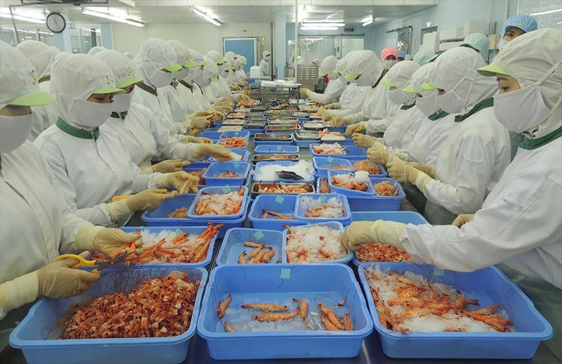 Văn bản quy phạm kém chất lượng - Bài 2: 