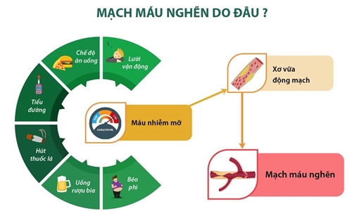Công dụng thông huyết mạch của tinh dầu thông đỏ