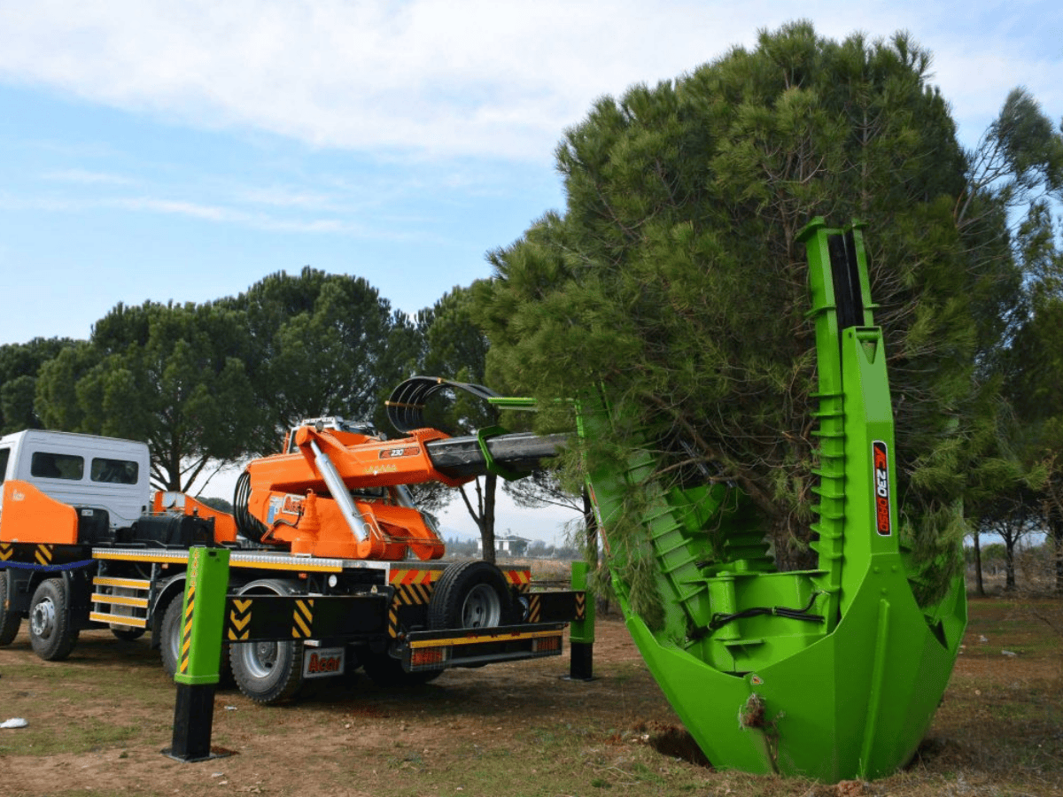 Xe bứng cây nhập khẩu châu âu chuẩn G7