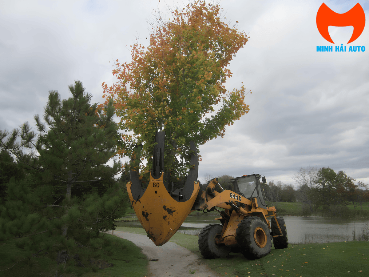 Xe bứng cây xanh chuyên dùng nhập khẩu từ Canada đang hoạt động tại công trình.