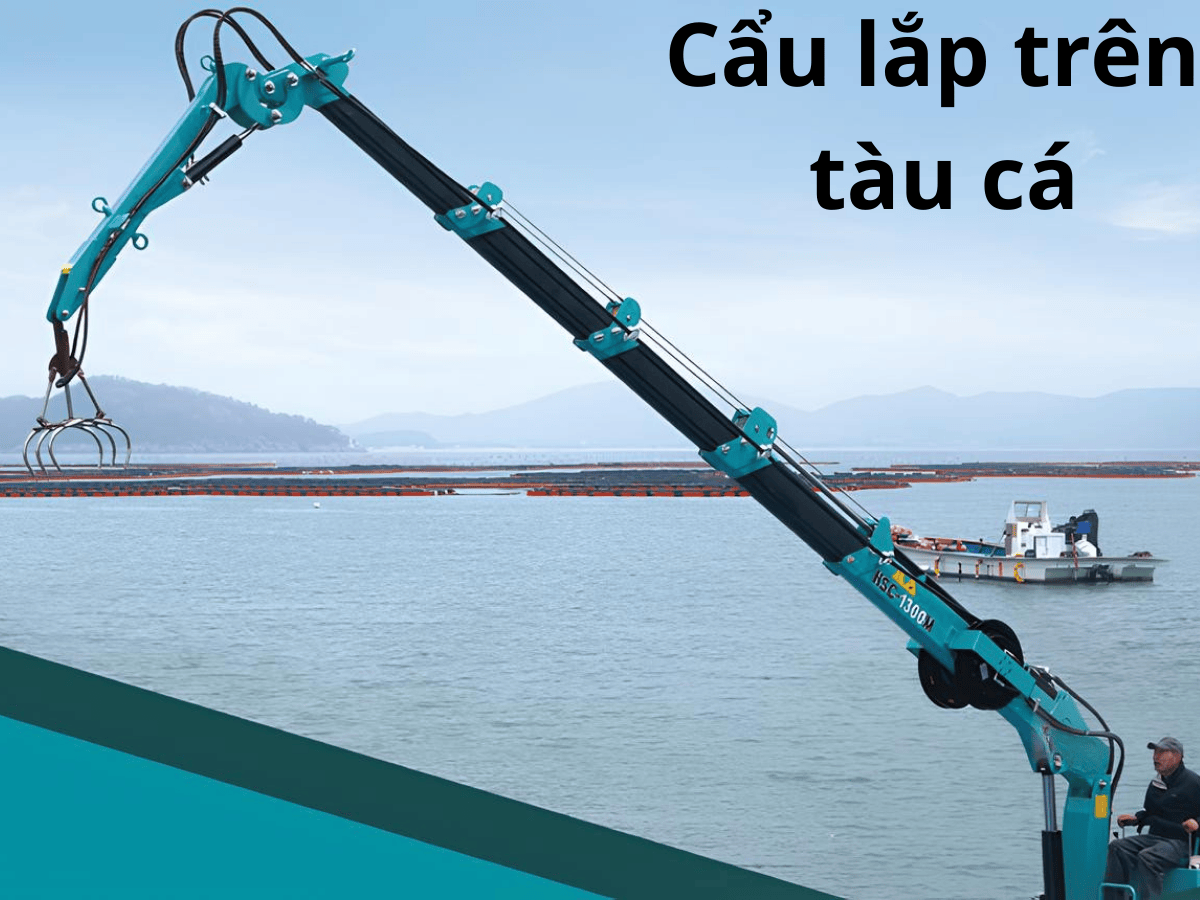 cau-hang-hai-8-tan-hyundai-hlc-8016