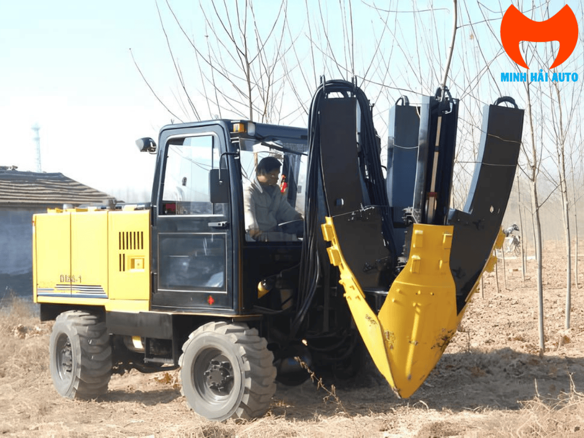 Xe bứng cây chuyên dùng