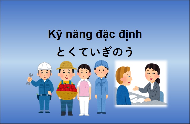 Tổ chức kỳ thi đánh giá kỹ năng trong lĩnh vực Sản xuất thực phẩm và đồ uống [ Thông tin cập nhật ngày 15 tháng 11 năm 2024 ]