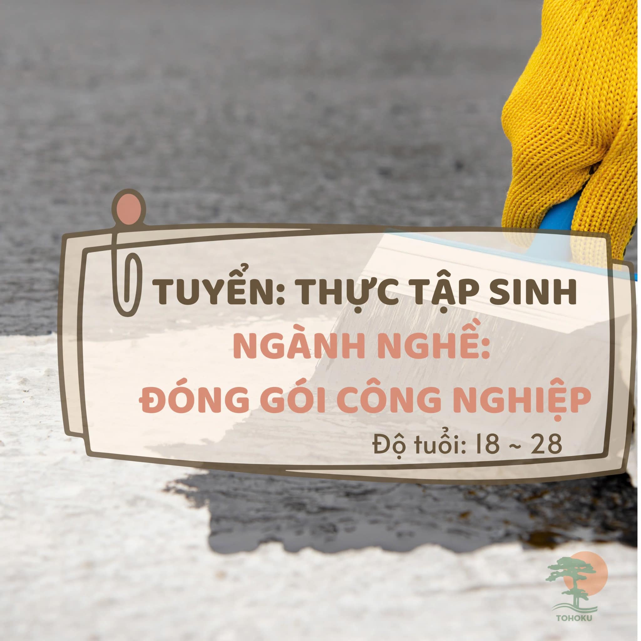 TUYỂN SINH THỰC TẬP SINH NGÀNH NGHỀ ĐÓNG GÓI CÔNG NGHIỆP THÁNG 11/ 2024