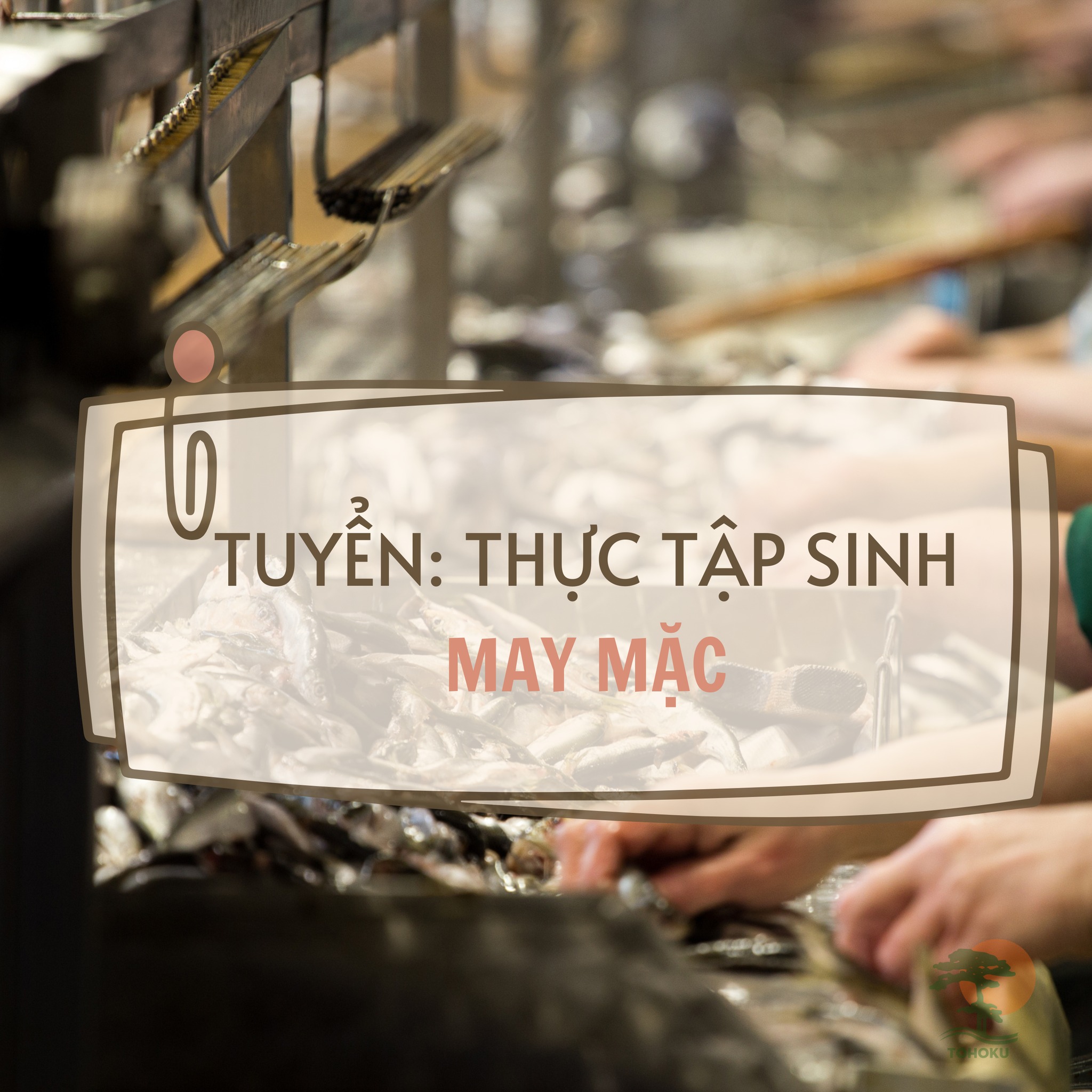 TUYỂN SINH THỰC TẬP SINH: NGÀNH NGHỀ MAY MẶC THÁNG 12/ 2024