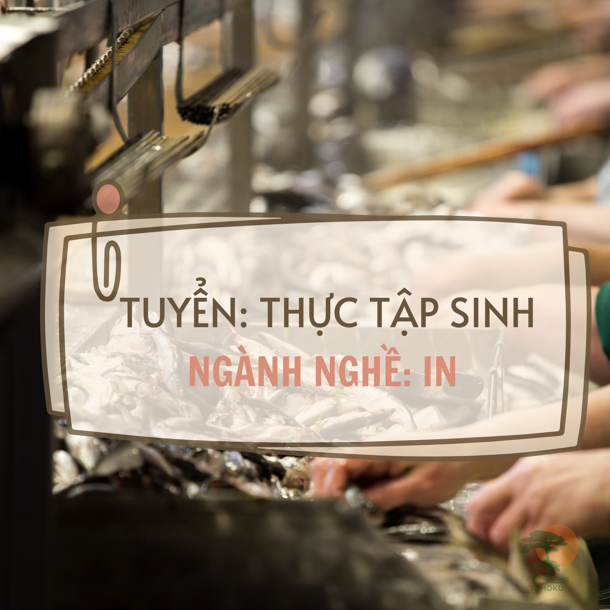 TUYỂN SINH THỰC TẬP SINH: NGÀNH NGHỀ IN 12/2024