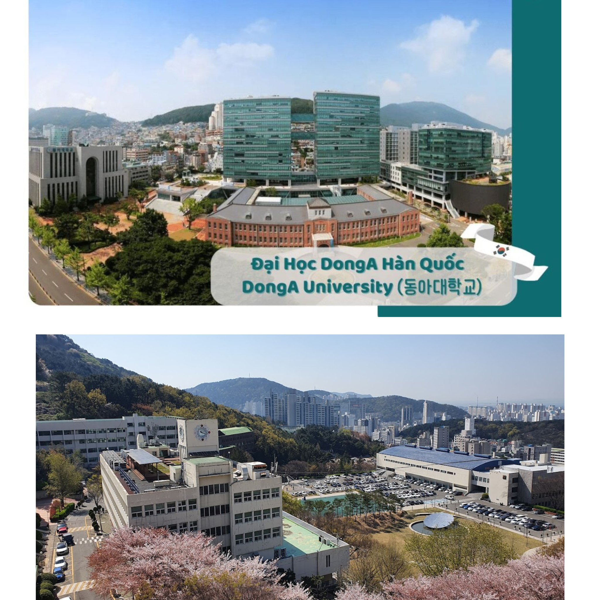 Trường Đại học DongA Hàn Quốc – 동아대학교