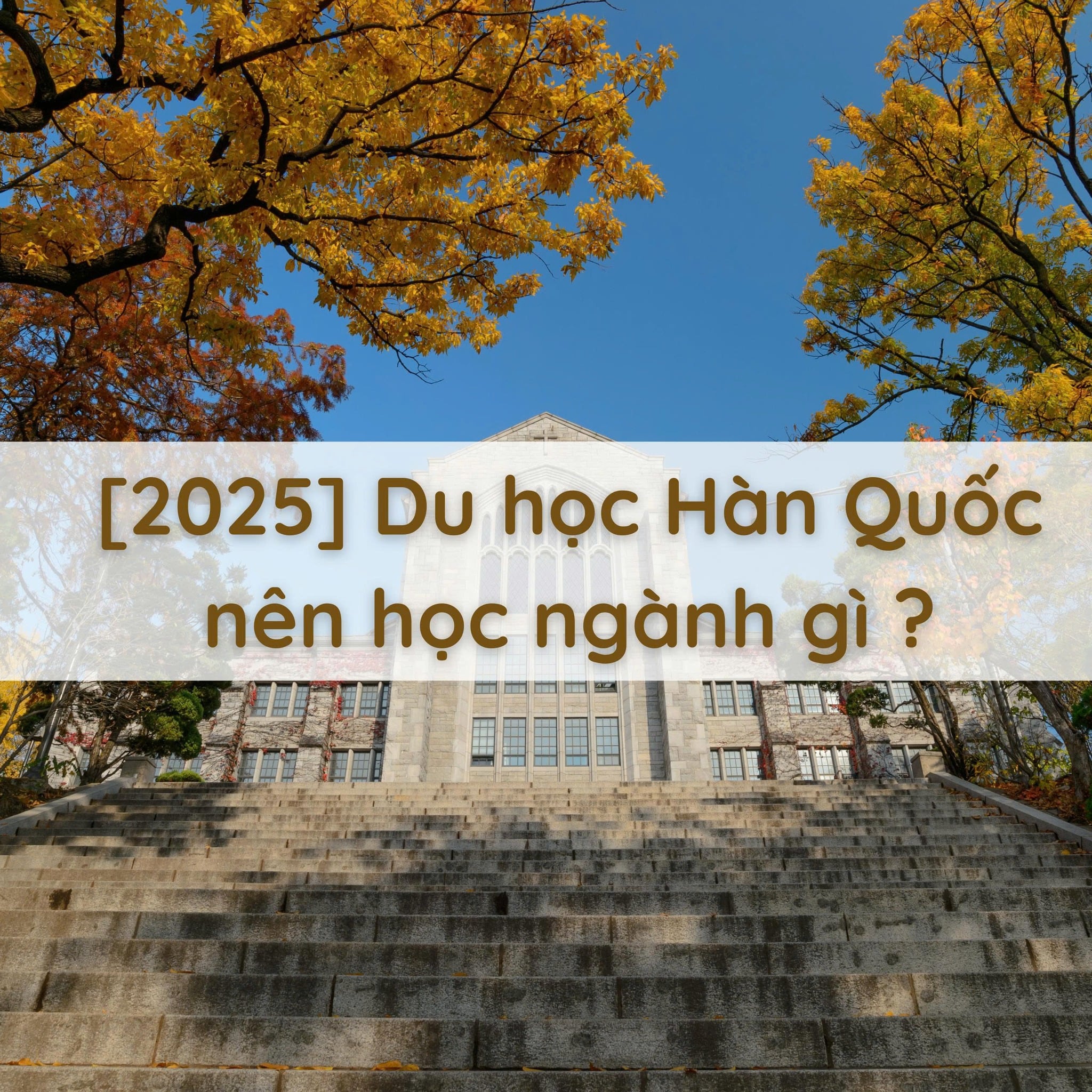 [2025] Du học Hàn Quốc nên học ngành gì?