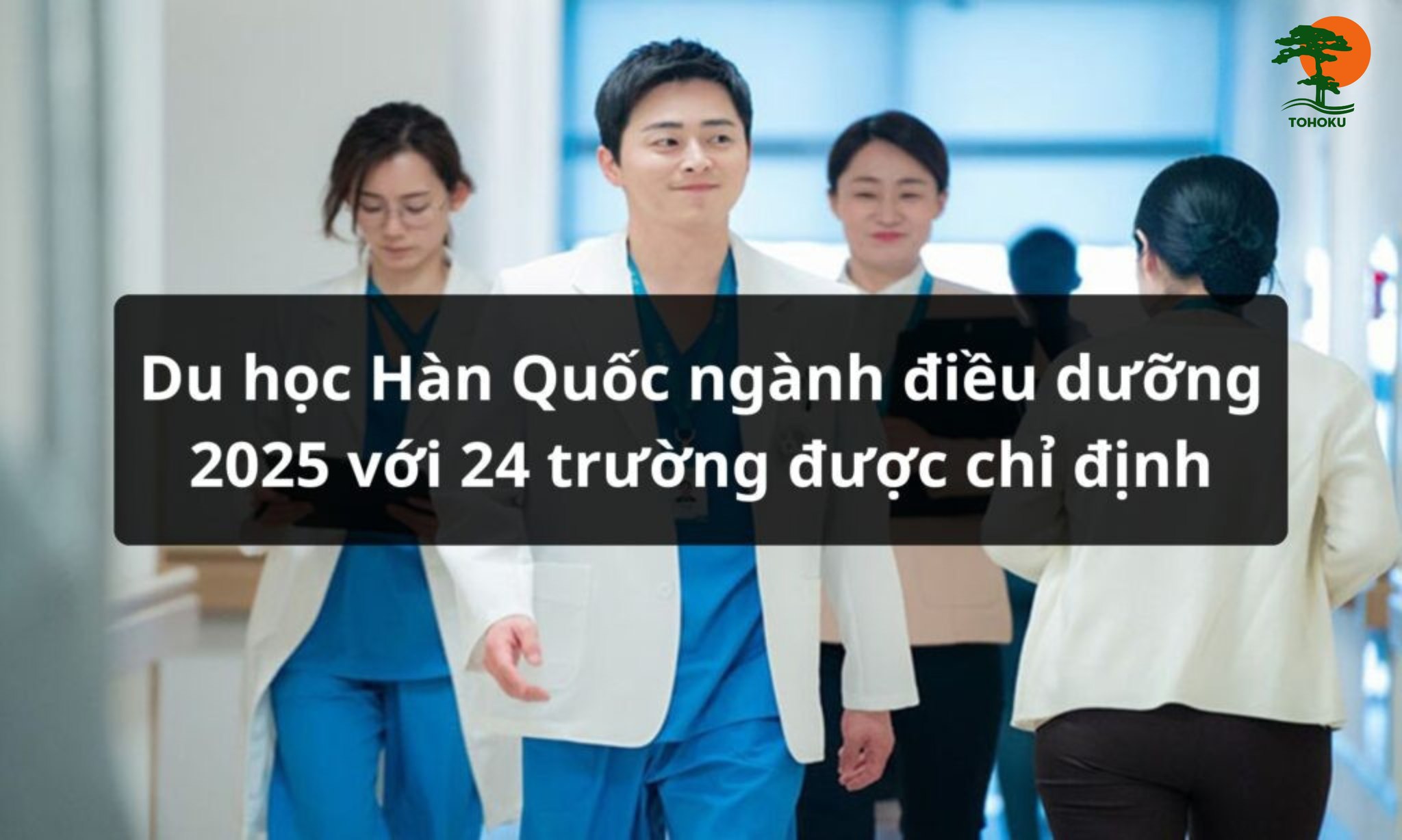Du học Hàn Quốc ngành điều dưỡng: Cơ hội mới với 24 trường được chỉ định
