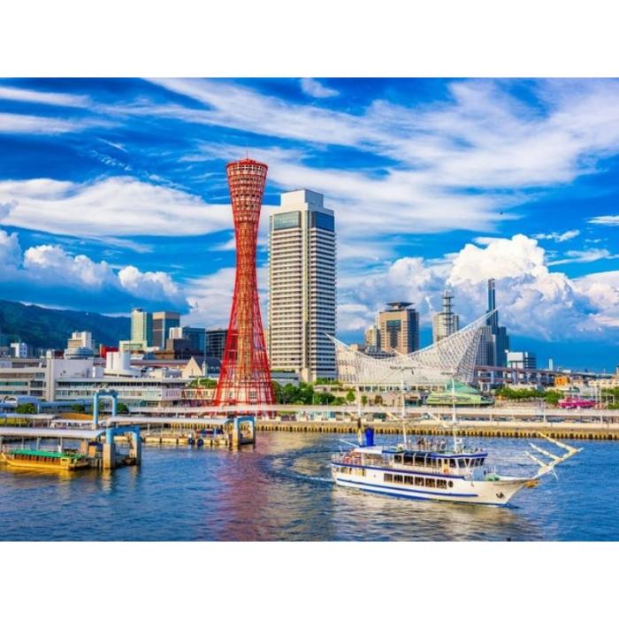 TOHOKU LÊN DANH SÁCH NAM ỨNG VIÊN THI TUYỂN KỸ NĂNG ĐẶC ĐỊNH  THI CÔNG MÁY XÂY DỰNG