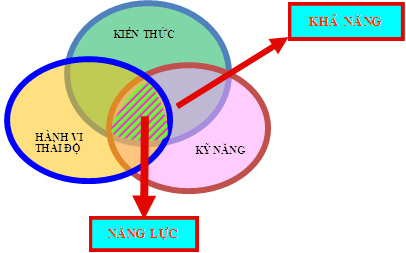 ​​​​​​​10 LÝ DO BẠN KHÔNG NÊN ĐI DU HỌC