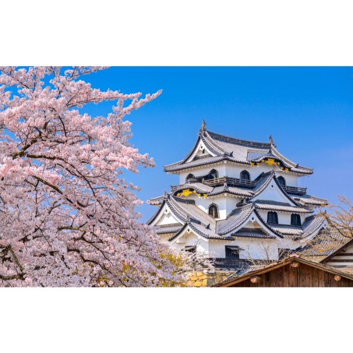 HỌC BỔNG NHÀ HÀNG SUKYIA HỌC BỔNG NHÀ HÀNG SUKYIA