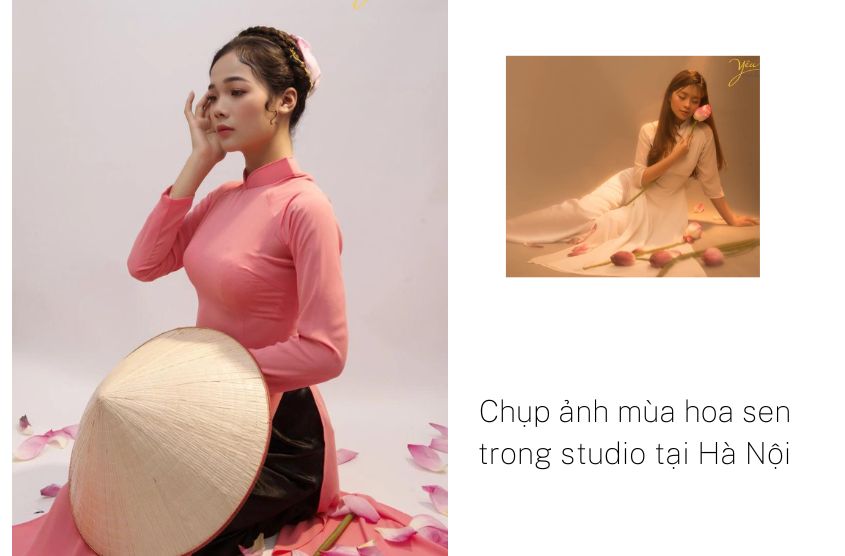 Chụp ảnh mùa hoa sen trong studio tại Hà Nội