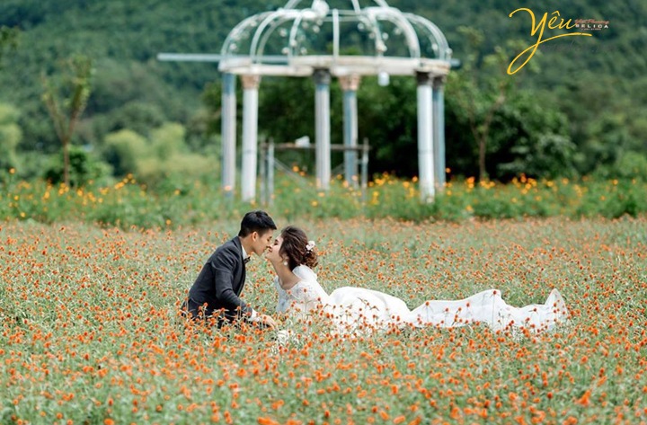 Phim trường thơ mộng Wonderland Thái Nguyên