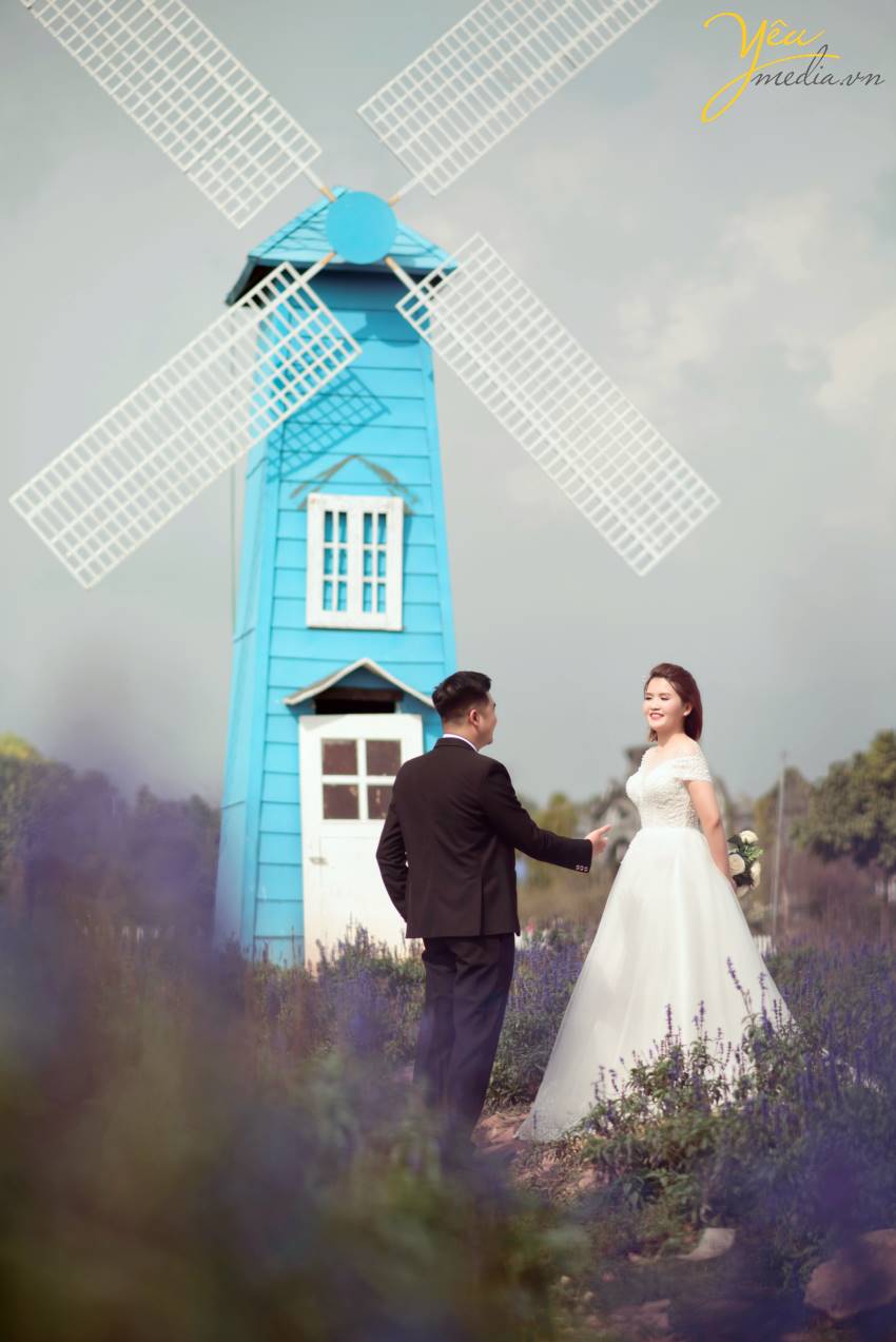 Chụp ảnh cưới album trọn gói nhiều quà tặng tại thảo nguyên hoa