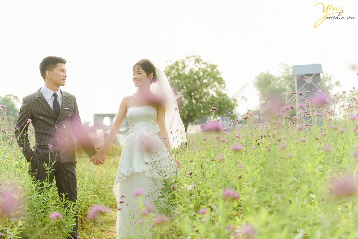 Album hình cưới chụp tại thảo nguyên hoa Long Biên thơ mộng Hà Nội
