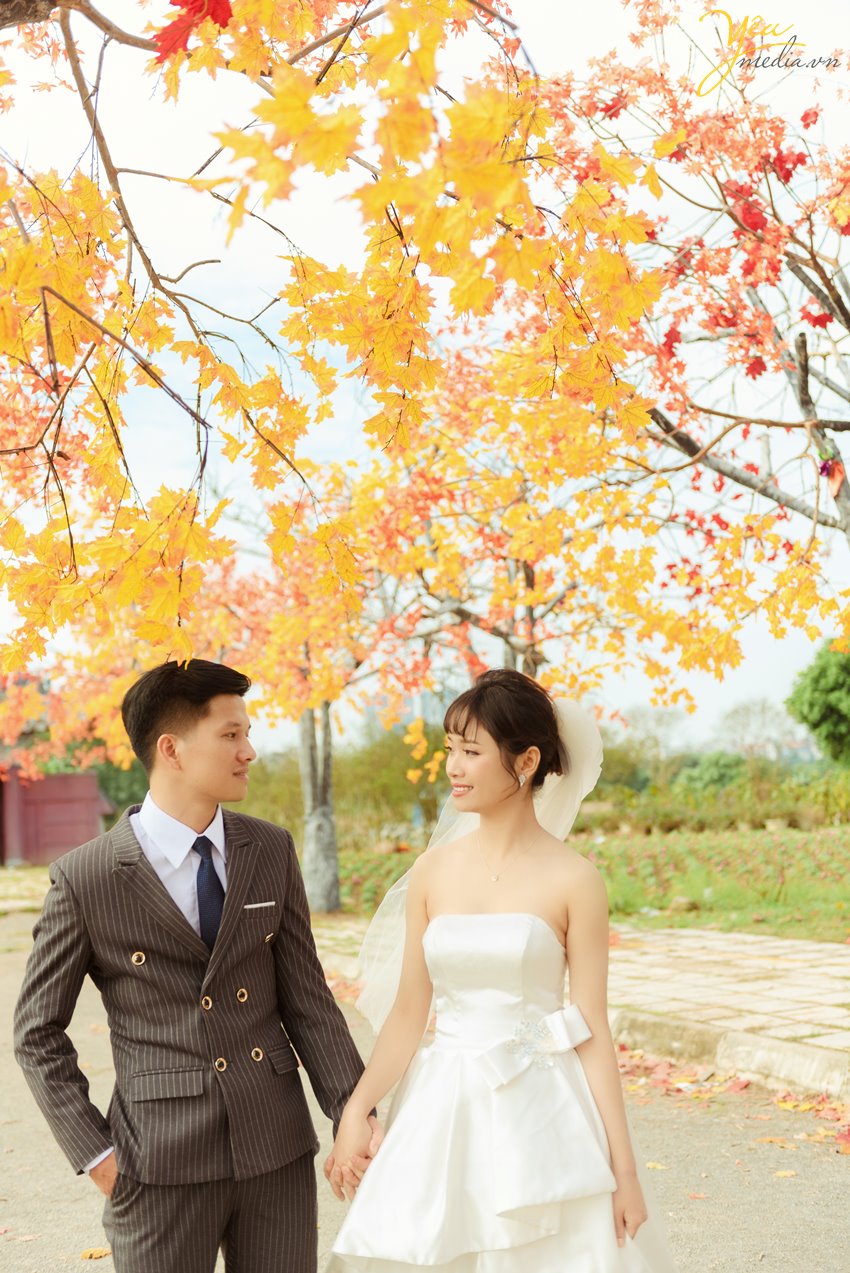Album hình cưới chụp tại thảo nguyên hoa Long Biên thơ mộng Hà Nội