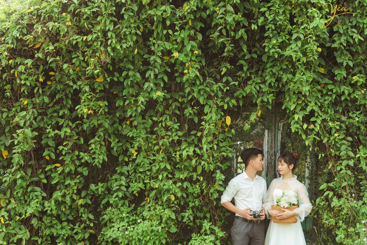 Album hình cưới chụp tại thảo nguyên hoa Long Biên thơ mộng Hà Nội