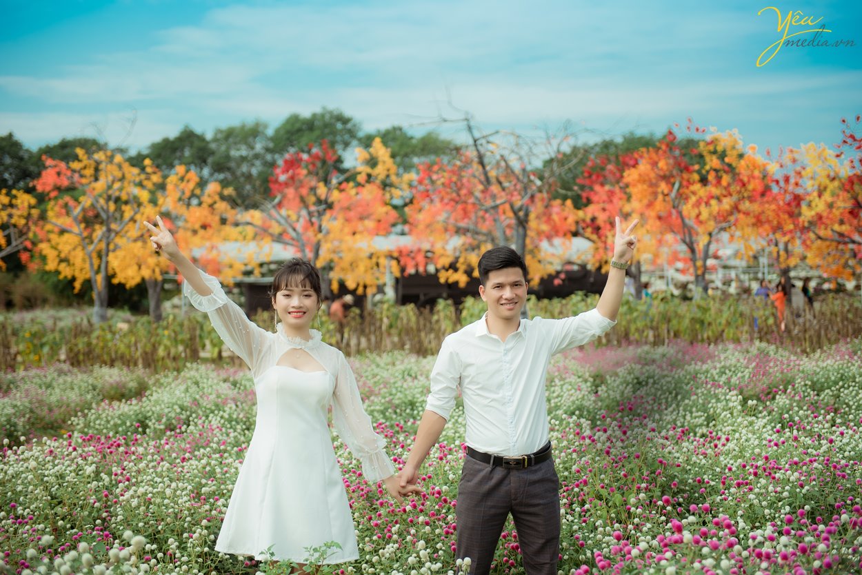 Album hình cưới chụp tại thảo nguyên hoa Long Biên thơ mộng Hà Nội