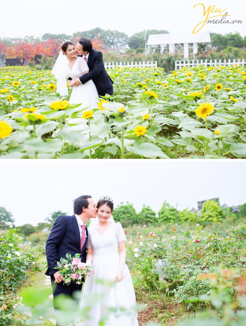 Trọn gói chụp ảnh cưới Cầu Long Biên - thảo nguyên hoa Hà Nội