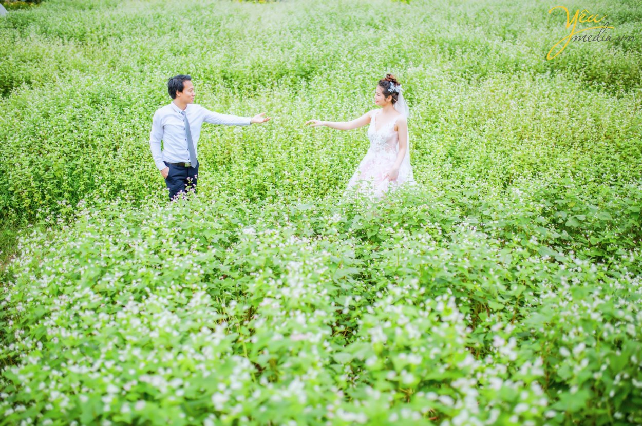 Thảo nguyên hoa Long Biên tấp nập khách vào dịp cuối tuần vì đang vào mùa cúc hoạ mi nở trắng. Hà Nội có rất nhiều địa điểm chụp hình, các phim trường xinh xắn trong đó chúng ta không thể không kể đến Thảo nguyên hoa Long Biên – một địa điểm mà chỉ cần xê dịch vài bước chân là bạn cũng có thể tìm được góc chụp hình đẹp mê mẩn rồi.