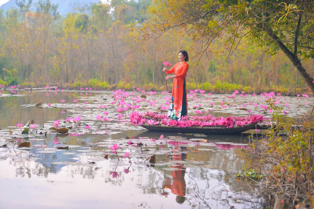 Chụp ảnh áo dài truyền thống trên Chùa Hương với hoa súng lãng mạn