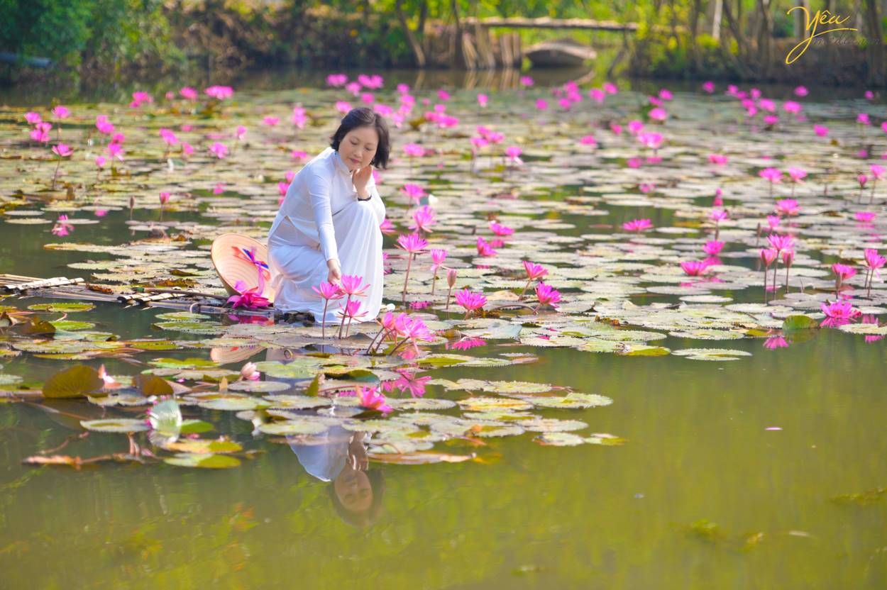 Chụp ảnh áo dài truyền thống trên Chùa Hương với hoa súng lãng mạn