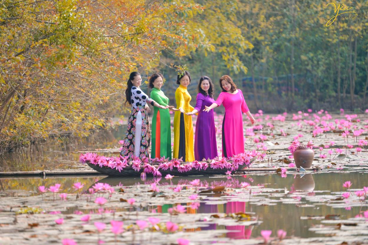 Chụp ảnh áo dài truyền thống trên Chùa Hương với hoa súng lãng mạn