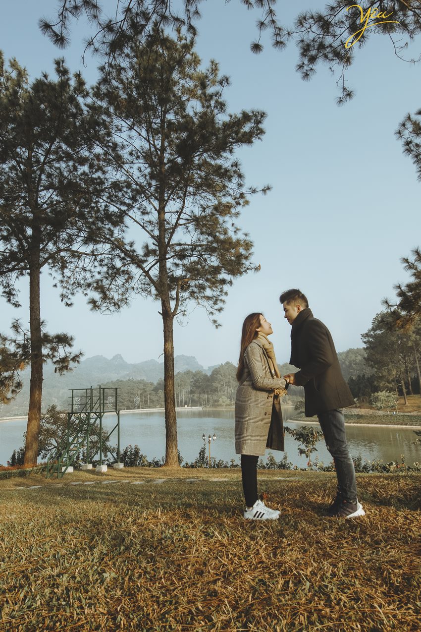 Album ảnh tình tứ tại Rừng Thông Bản Áng đẹp như trên phim giữa lòng Mộc Châu