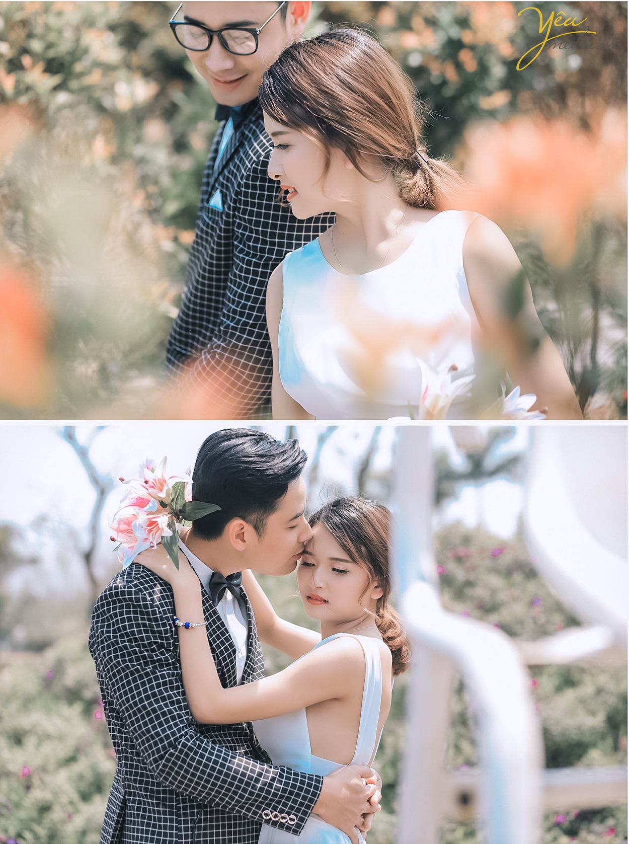 chụp ảnh cưới trong vườn rose park công viên hoa hồng