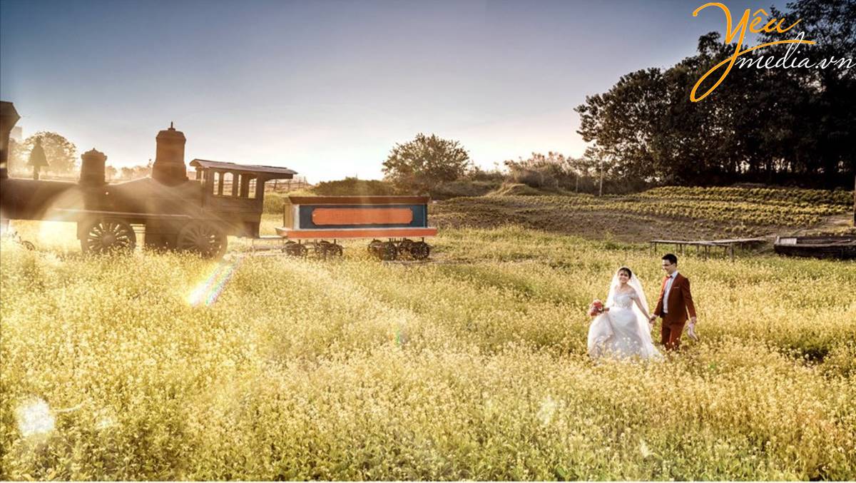 Trọn gói chụp ảnh cưới Cầu Long Biên - thảo nguyên hoa Hà Nội