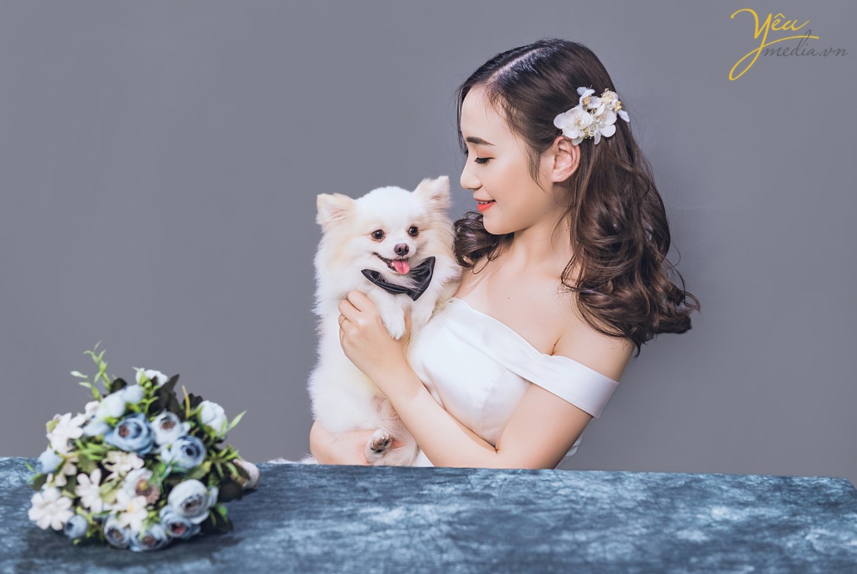 Các phụ kiện cho thú cưng trong ảnh cưới chụp với