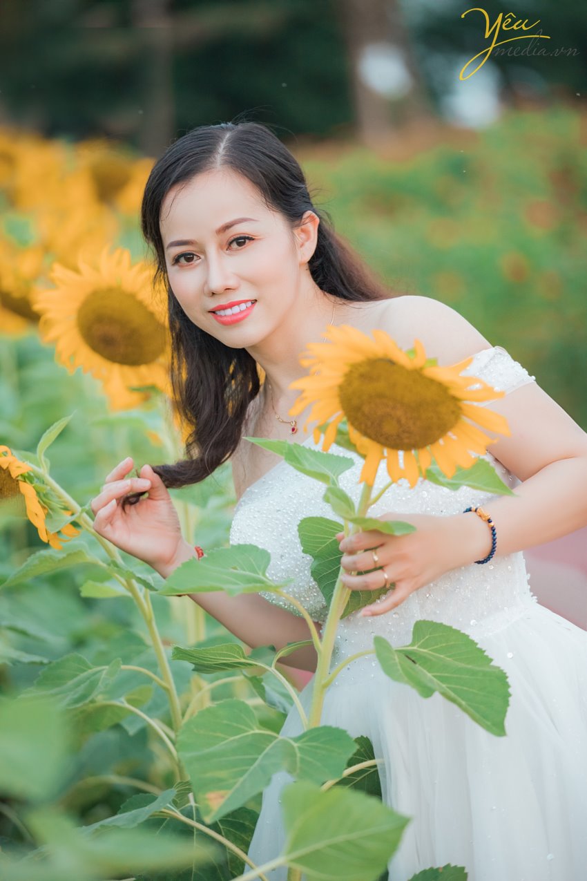 Có thể nói là lần đầu tiên, có một vườn hoa hướng dương khổng lồ tại Hà Nội mở cửa phục vụ mọi người đến ngắm cảnh, chụp ảnh. Giới trẻ Sài thành đang đua nhau "tỏa sáng" và "rực cháy" trong khung cảnh lung này mà không phải đi đâu xa.   Hoa hướng dương hay còn gọi là hoa mặt trời vì khi nở chúng luôn vươn cao về phía ánh sáng, biểu trưng cho sự mạnh mẽ và niền tin vào cuộc sống. Có lẽ vì thế mà rất nhiều người ưa chuộng loài hoa này. Hoa đang đúng dịp nở rộ nên nếu muốn được tận mắt nhìn thấy cánh đồng hoa hướng dương ngay tại Hà Nội thì các bạn nên thu xếp thời gian ghé qua địa điểm này nhé. Kẻo muộn quá hoa héo hoặc tàn hết sẽ không đẹp chút nào đâu!