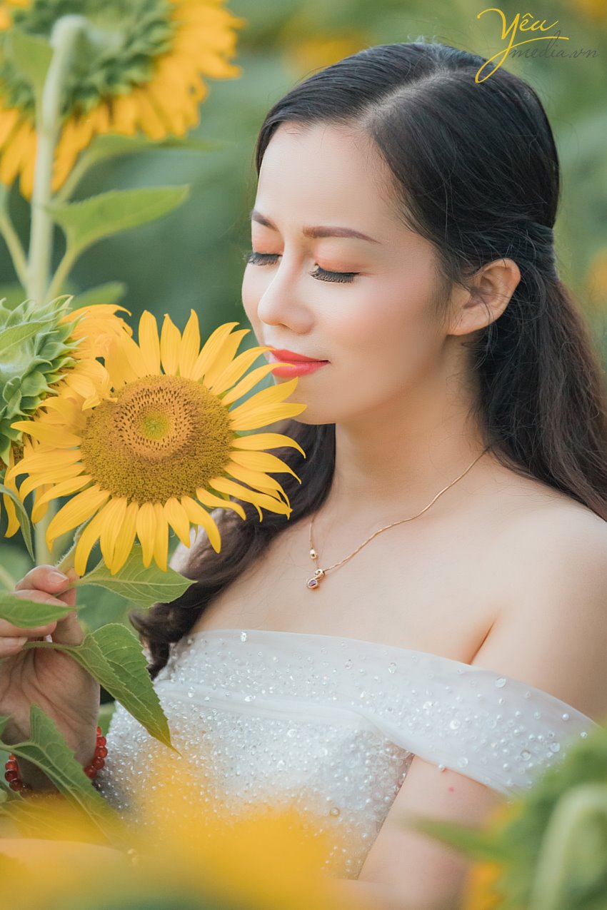 Có thể nói là lần đầu tiên, có một vườn hoa hướng dương khổng lồ tại Hà Nội mở cửa phục vụ mọi người đến ngắm cảnh, chụp ảnh. Giới trẻ Sài thành đang đua nhau "tỏa sáng" và "rực cháy" trong khung cảnh lung này mà không phải đi đâu xa.   Hoa hướng dương hay còn gọi là hoa mặt trời vì khi nở chúng luôn vươn cao về phía ánh sáng, biểu trưng cho sự mạnh mẽ và niền tin vào cuộc sống. Có lẽ vì thế mà rất nhiều người ưa chuộng loài hoa này. Hoa đang đúng dịp nở rộ nên nếu muốn được tận mắt nhìn thấy cánh đồng hoa hướng dương ngay tại Hà Nội thì các bạn nên thu xếp thời gian ghé qua địa điểm này nhé. Kẻo muộn quá hoa héo hoặc tàn hết sẽ không đẹp chút nào đâu!