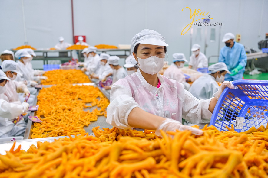 Chụp ảnh quy trình sản xuất và phân phối sản phẩm , quảng cáo tiếp cận các thì trường trong và ngoài nước 